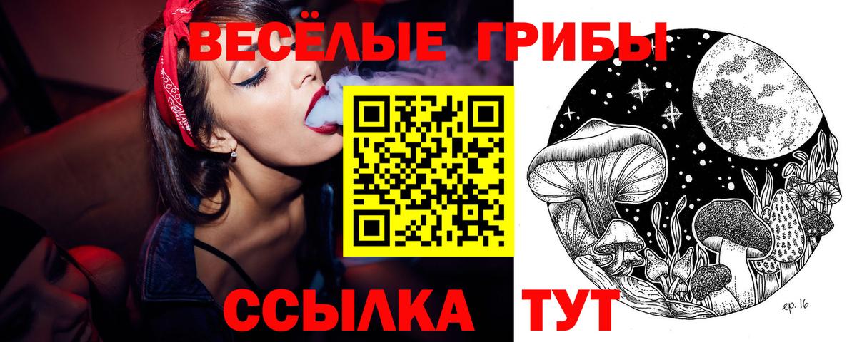 Псилоцибиновые грибы Psilocybine cubensis  Вход с VPN  Киров 